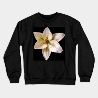 Eyeliner Lily on Black Crewneck Sweatshirt